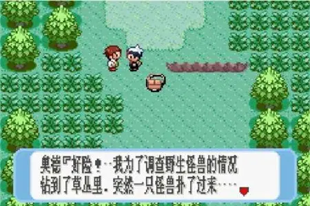 口袋妖怪/神奇宝贝红宝石版
